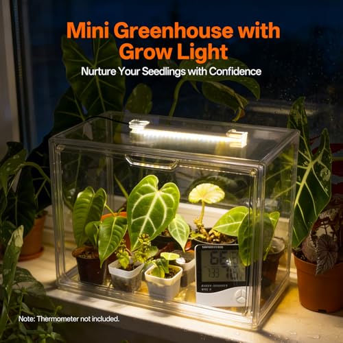 Bstrip Small Tabletop Greenhouse with Grow Light, Indoor Seed Starter Kit