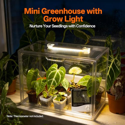 Bstrip Small Tabletop Greenhouse with Grow Light, Indoor Seed Starter Kit