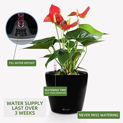 Dexceder 11x10 Self Watering Planter (Black High Gloss) - color: Black, size: 11x10