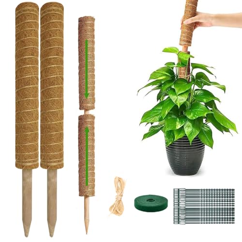Monstera Plant Support Moss Pole, 2 Pack 16 Inch Stackable Coco Coir - size: 2-pack