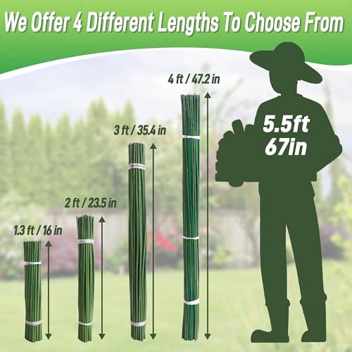 50Pcs 2ft Bamboo Sticks for Indoor Outdoor Plants, 0.29"-0.38" Natural Bamboo Poles, Durable Garden Stakes for Tomatoes, Beans, Flowers and Potted Plants - size: 2FT 50PCS
