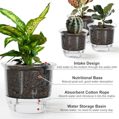 Self Watering Pots Set, Clear Self Planter Pot for Indoor Plants - size: Round, 5Pcs Large