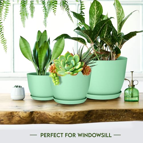 Plant Pots Indoor with Drainage, 10 Pack Multi-Size Planters Set, Mint - color: Mint, size: Pack of 10