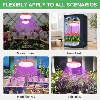 Solar Grow Light Outdoor Indoor Run Day/Night, Full Spectrum with Timer