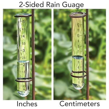 Bits and Pieces Bird Rain Gauge, 5 Inch Glass Tube, 39" Tall