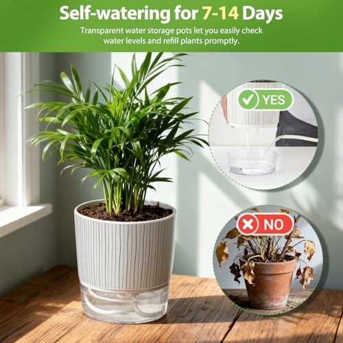3 Pack Self Watering Pots for Indoor Plants, 5.5 Inch Plant Pots - color: Medium, 3pcs Black Stripes