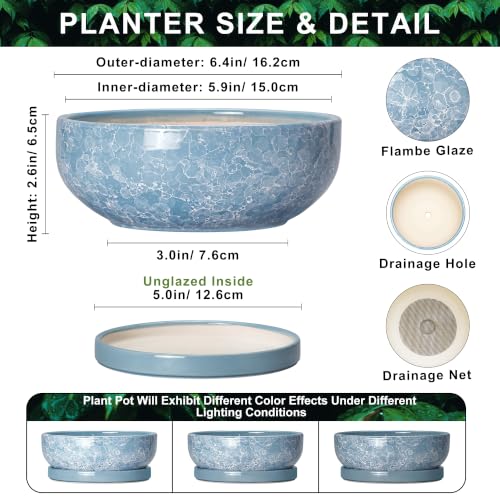 Bonsai Tree Pots 6 Inch, Ceramic Succulent Planters, Droplet Blue - color: Droplet Blue, size: 6 Inch