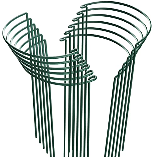 HiGift 12 Pack Plant Stakes for Indoor Plants, Metal Garden Peony Support Cages, Outdoor Plant Supports Ring Prop, Large Plant Stake for Hydrangea,Rose,Flower,Vine,Potted Plants (10" W x 15.8" H) - color: Green - 12 Pack, size: 10" W x 15.8" H