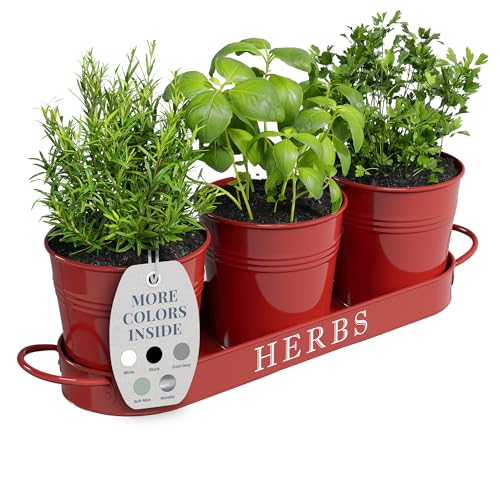 Barnyard Designs Indoor Herb Garden Planter Pots Set/3 (Brick Red) - color: Brick Red