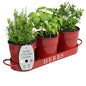 Barnyard Designs Indoor Herb Garden Planter Pots Set/3 (Brick Red) - color: Brick Red
