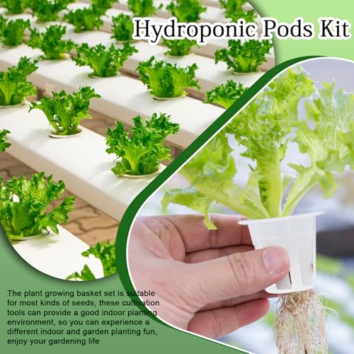 62 PCS Hydroponic Seed Growing System Kit