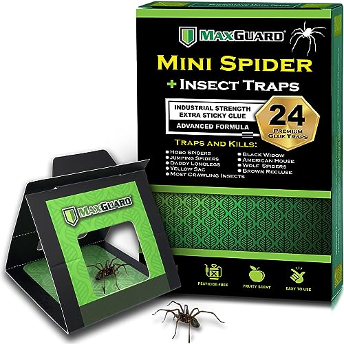 MaxGuard Mini Spider + Insect Traps (24 pcs Box Trap) | Non-Toxic Extra Sticky Glue Traps | Trap and Kill Hobo Spiders, Black Widow Spiders, Brown Recluse Spiders and Crawling Bugs | - size: Mini