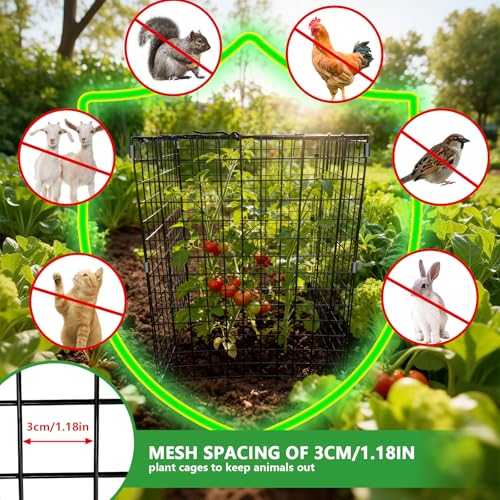 Metal Plant Cages for Outdoor Plants, Garden Cloches for Plants 4 Pack - color: 4 PCS