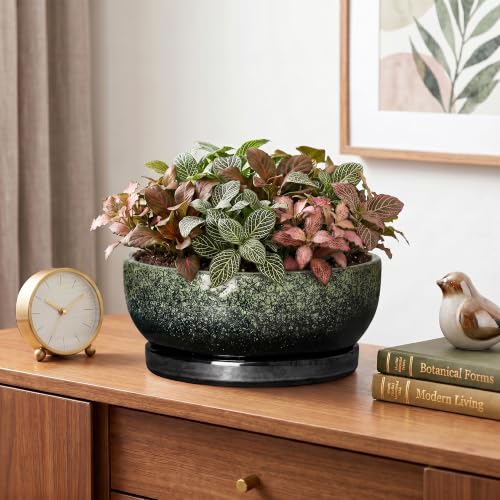 Bonsai Tree Pots, 8 Inch Ceramic Succulent Planter, Speckle Green - color: Speckle Green, size: 8 Inch