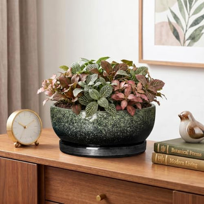 Bonsai Tree Pots, 8 Inch Ceramic Succulent Planter, Speckle Green - color: Speckle Green, size: 8 Inch