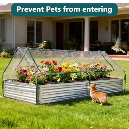 DUMOS Galvanized Raised Garden Bed with Cover, Clear, 8x4x1ft - color: Silver (Transparent Cover), size: 8×4×1ft