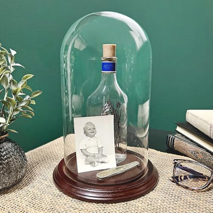 Plymor 5.5" x 10" Glass Display Dome Cloche (Dark Mahogany Veneer Base) - color: Dark Mahogany Veneer Base