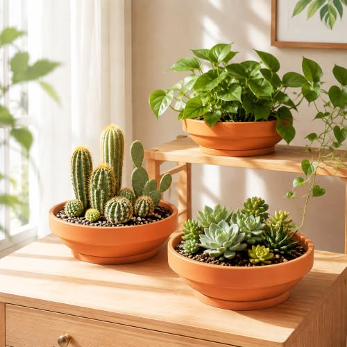 Laerjin Terracotta Pots, 6.43 Inch Shallow Planters with Saucers, 6 Pack - size: 6.43 inch+saucer