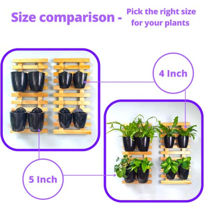 LaLaGreen Indoor Wall Planters (5in, 10 Pack) Self Watering Hanging Pots - size: 5" (12.5 cm)