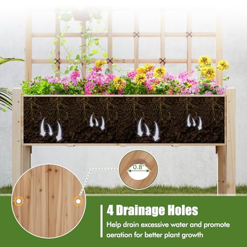 HAPPYGRILL Raised Garden Bed with Lattice Trellis & Legs - size: 47" x 24" x 63"