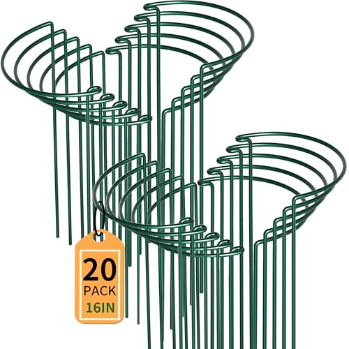 TCBWFY 20 Pack Plant Supports Stakes for Large Heavy Plants, 16"Hx10"D Peony Supports,Heavy Duty 4mm Wire Peony Cages,Interlock Garden Supports Ring Border Support,Plant Support Cage for Rose Flowers - size: 10"Dx16"H-20PCS