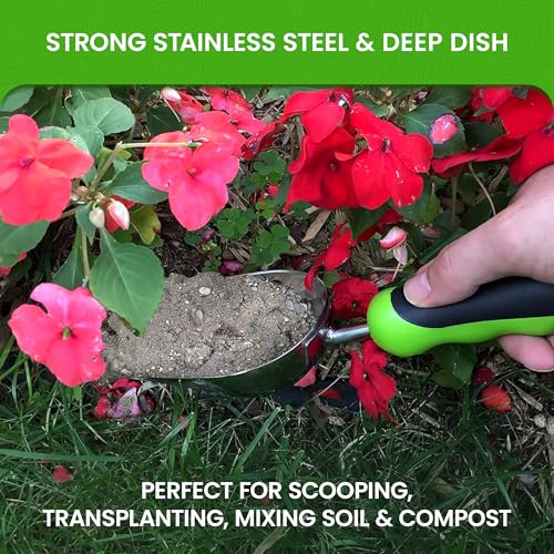 Garden Guru Super Strong Titanium Garden Scoop Trowel Shovel Transplanter - Rust Resistant - Ergonomic Handle - Perfect Hand Shovel for Gardening Transplanting and Digging (2 Pack) - size: 2 Pack, style: Titanium