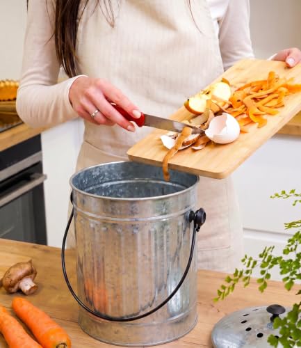 Plexon Countertop Compost Bin Kitchen Indoor, with Lid, Silver 1.5 Gall - color: Silver