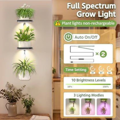 LASZOLA Plant Hanger Holder Shelf Wall Indoor with Lights, 2 Pcs Black - color: Dark Grey, size: 2