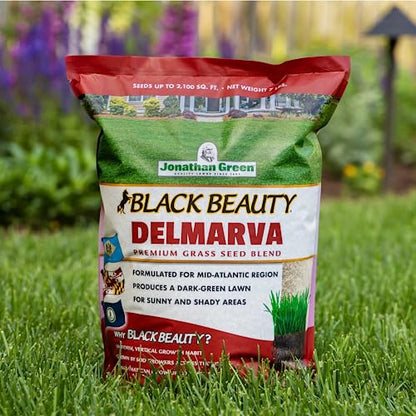 Jonathan Green Black Beauty Delmarva Grass Seed - 7 lb - size: 7 lb