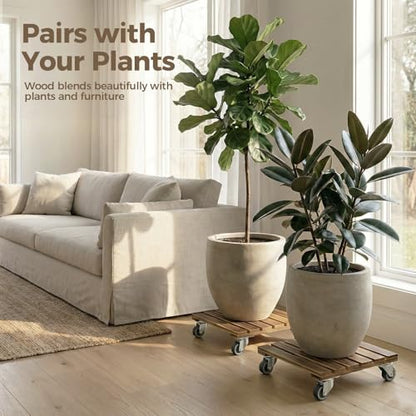 Bamworld Plant Caddy 12 Inch Wood Dolly with Wheels 2 Pack - size: 12inch-Square-2 pack