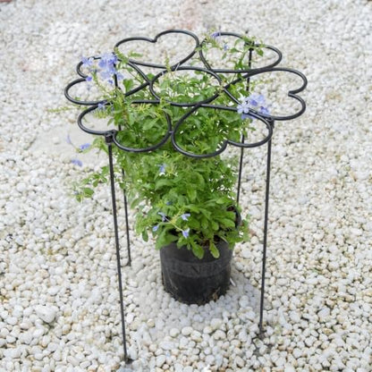Dahlia Stakes and Supports - 24.5" Heavy-Duty Iron Plant Cages - color: Black