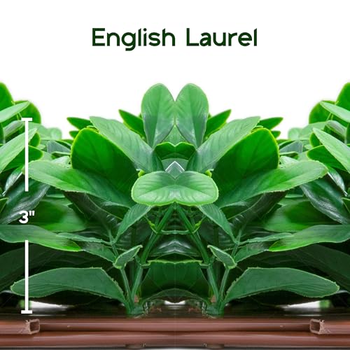 NatraHedge 20''X50'' Artificial Privacy Grass Wall Decor, Laurel Leaf - color: Laurel Leaf
