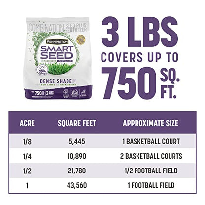 Pennington Smart Seed Dense Shade Mix Grass Seeds for Lawn, 3 Lb - size: 3 LB