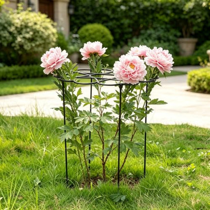Dahlia Stakes and Supports - 24.5" Heavy-Duty Iron Plant Cages - color: Black