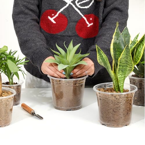 JNYONG 60 Pack 6 Inch Clear Nursery Pots with Drainage Hole - size: 6 Inch