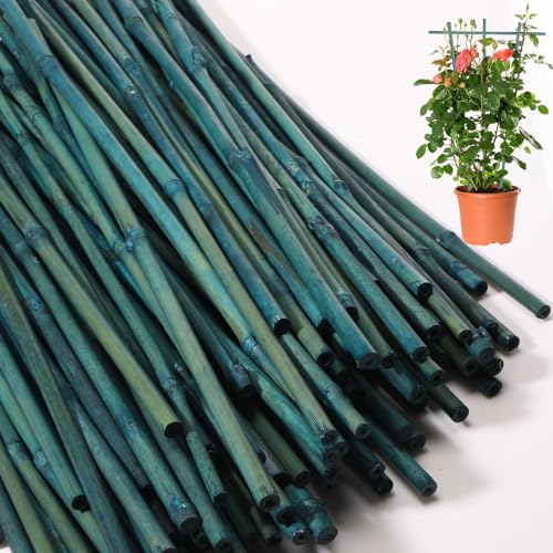 Suclain 50 Pcs 18 Inch Bamboo Stakes for Plant Support Bamboo Sticks Poles Indoor and Outdoor Tall Garden Stakes with 100 Twist Ties for Tomato Bean Flowers Trees Potted and Climbing Plant Support - size: 18 Inch