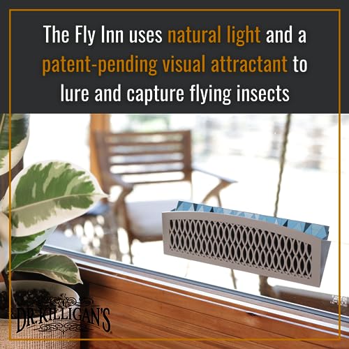 Dr. Killigan's Sticky Window Fly Traps Indoor - 6 Refill Inserts