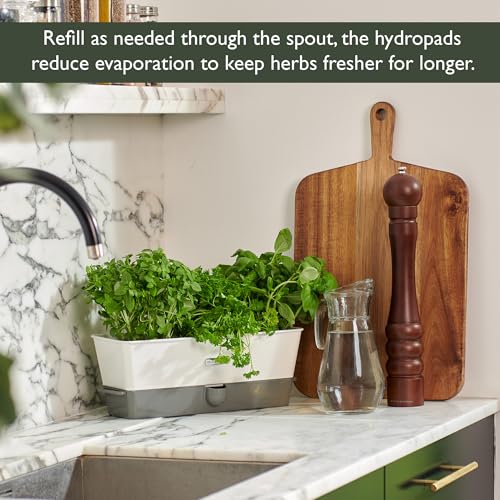 Cole & Mason Burwell Self-Watering Potted Herb Keeper - size: Triple Fresh Herb Keeper