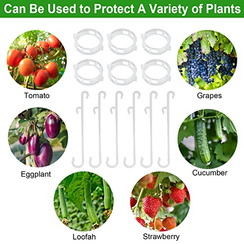 250 Pcs Tomato Clips and Hooks, Plant Support Clips for Tomatoes Grape Grow