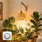 Wall Mounted Grow Lights for Indoor Plants with Timer, Hanging Light