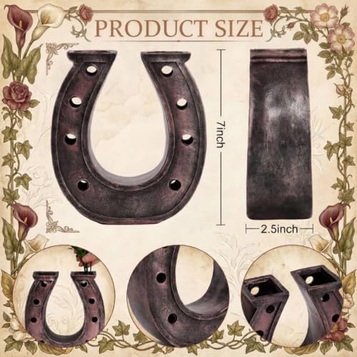 Qinyoung 1Pcs Horseshoe Hanging Wall Planters for Plants, Dry Flower Vase - style: Dry Flower Vase