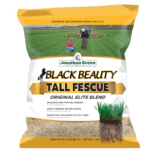 Jonathan Green Black Beauty Tall Fescue Grass Seed Blend - 7 lb - size: 7 lb