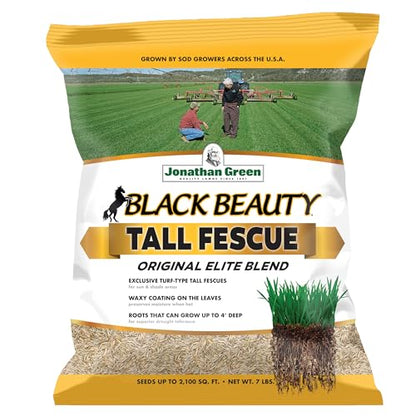 Jonathan Green Black Beauty Tall Fescue Grass Seed Blend - 7 lb - size: 7 lb
