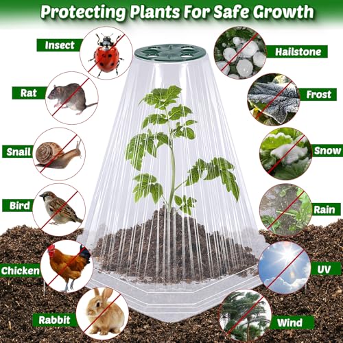 VICAMB 20 Pack Garden Cloches for Plants with 40PCS Ground Stakes,Clear Reusable Bell Covers with Rotatable Vent for Plant Protection,Garden Protector from Animals Birds Chicken,7.9" H X 6.7" D