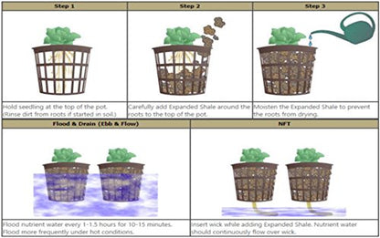 R&M Brand NP3, Hydroponic Net Pot for Plants, 3 Inch, 48 per Bag - size: 48ct