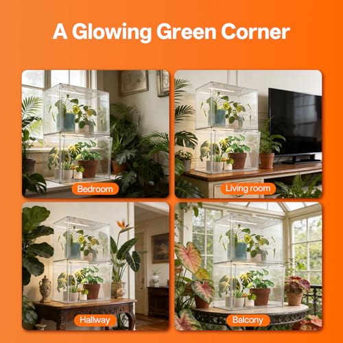 Bstrip Small Tabletop Greenhouse with Grow Light, Indoor Seed Starter Kit