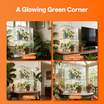 Bstrip Small Tabletop Greenhouse with Grow Light, Indoor Seed Starter Kit