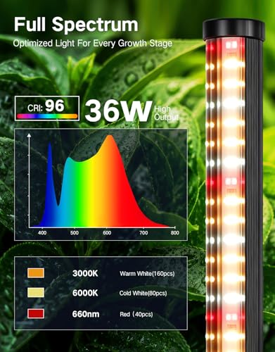OUTON Standing Grow Lights for Indoor Plants, 36W Full Spectrum Plant Light - size: 5.25FT