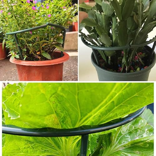 Mwellewm Plant Stakes Small Plant Supports for Indoor Plants Holder Sticks - size: 5.7 x 9.8inch