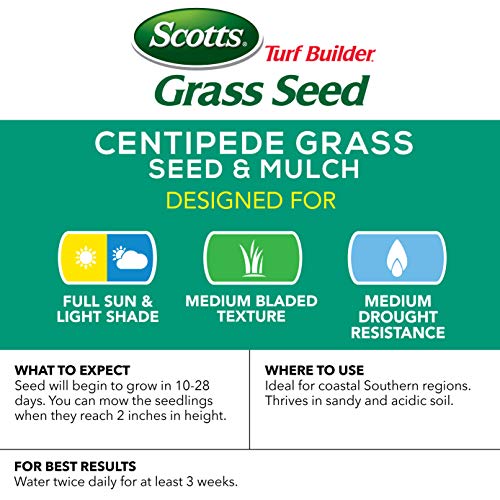 Scotts Turf Builder Grass Seed Centipede Grass Seed & Mulch, 5 lbs.